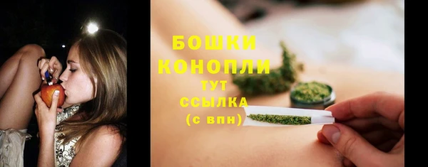 мяу мяу кристалл Переславль-Залесский