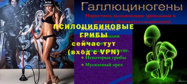 СК Осташков