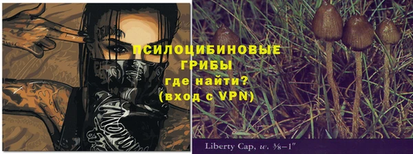 индика Абинск