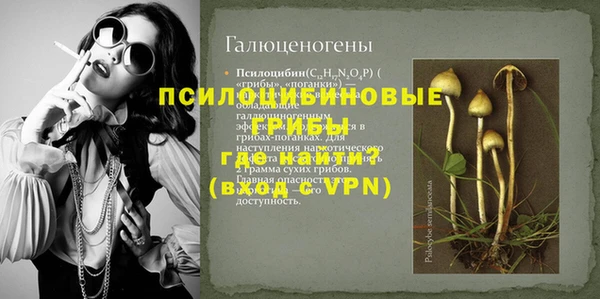 бошки Абаза