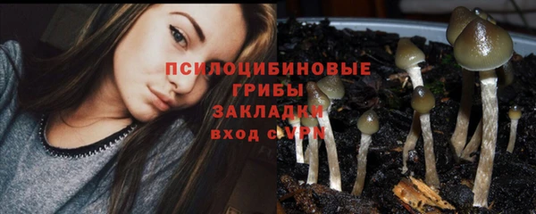 метадон Пестово