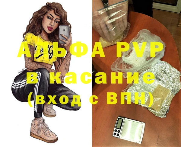 индика Абинск