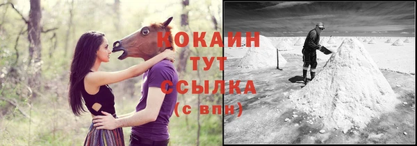 индика Абинск