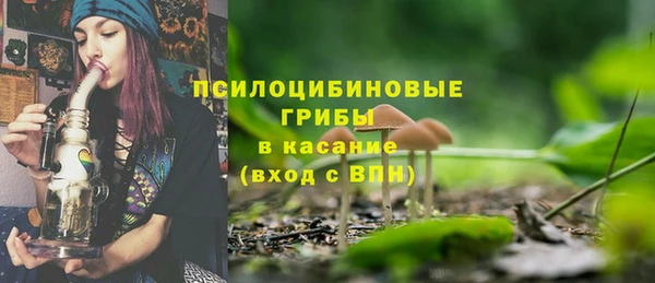 бошки Абаза