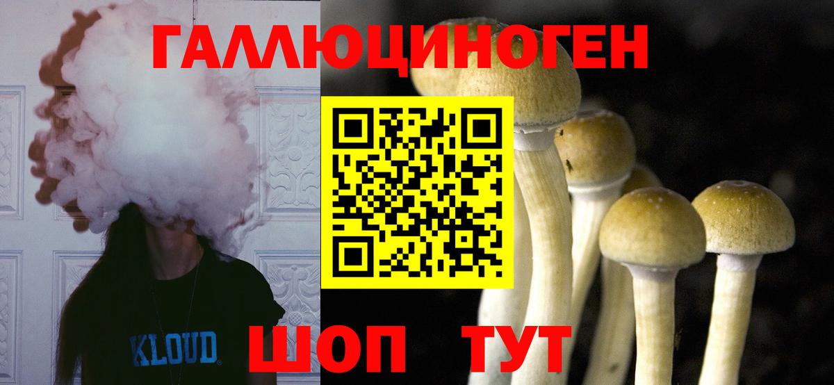 Псилоцибиновые грибы GOLDEN TEACHER  Вход с VPN  Псилоцибиновые грибы Psilocybine cubensis  Заволжье 