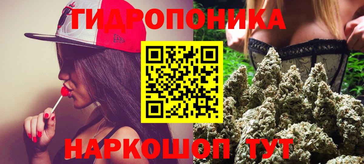 Марихуана гибрид Заволжье